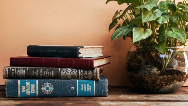 Curriculum pentru antrenamentul în dezbatere academică (World Schools)